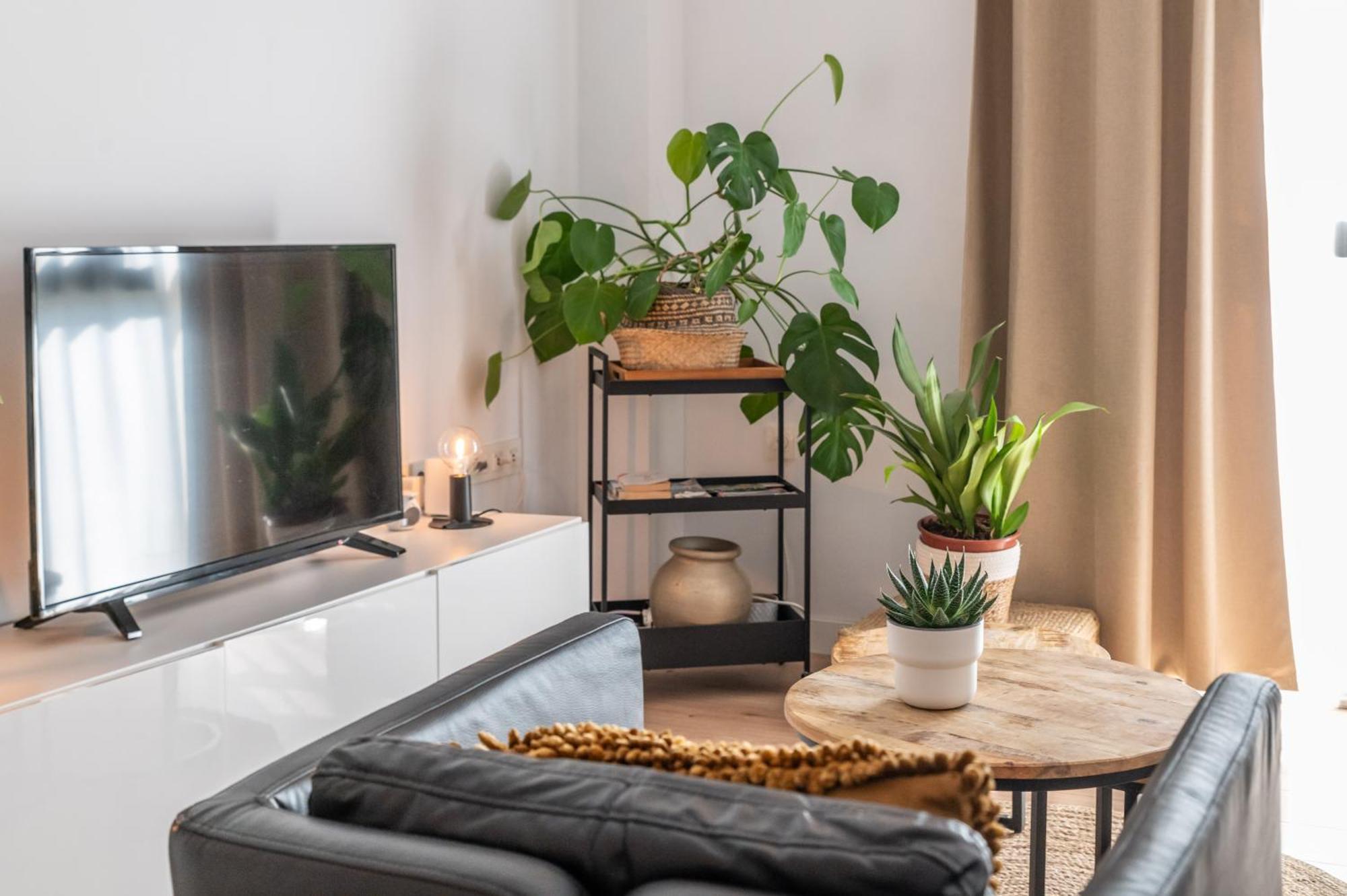 Urban Chic Loft Malaga City Center Buitenkant foto